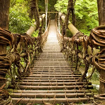 The Kazura bridge made of vines spans a river tumbling over stones in a dense forest in the Iya Valley that inspired Studio Ghibli's Princes Mononoke. stockstudioX / Getty Images