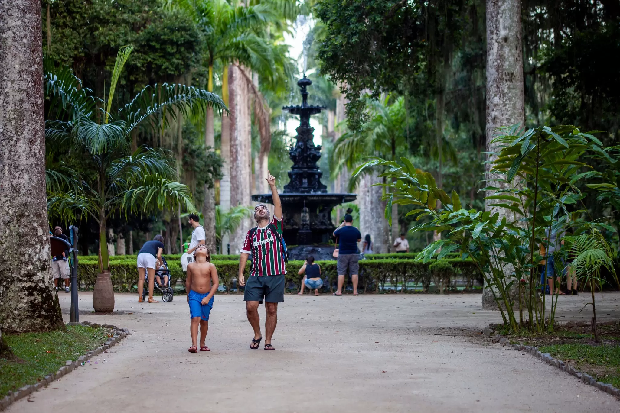 Wander the walkways of Rio's Botanical Gardens © Maarten Zeehandelaar / Shutterstock
