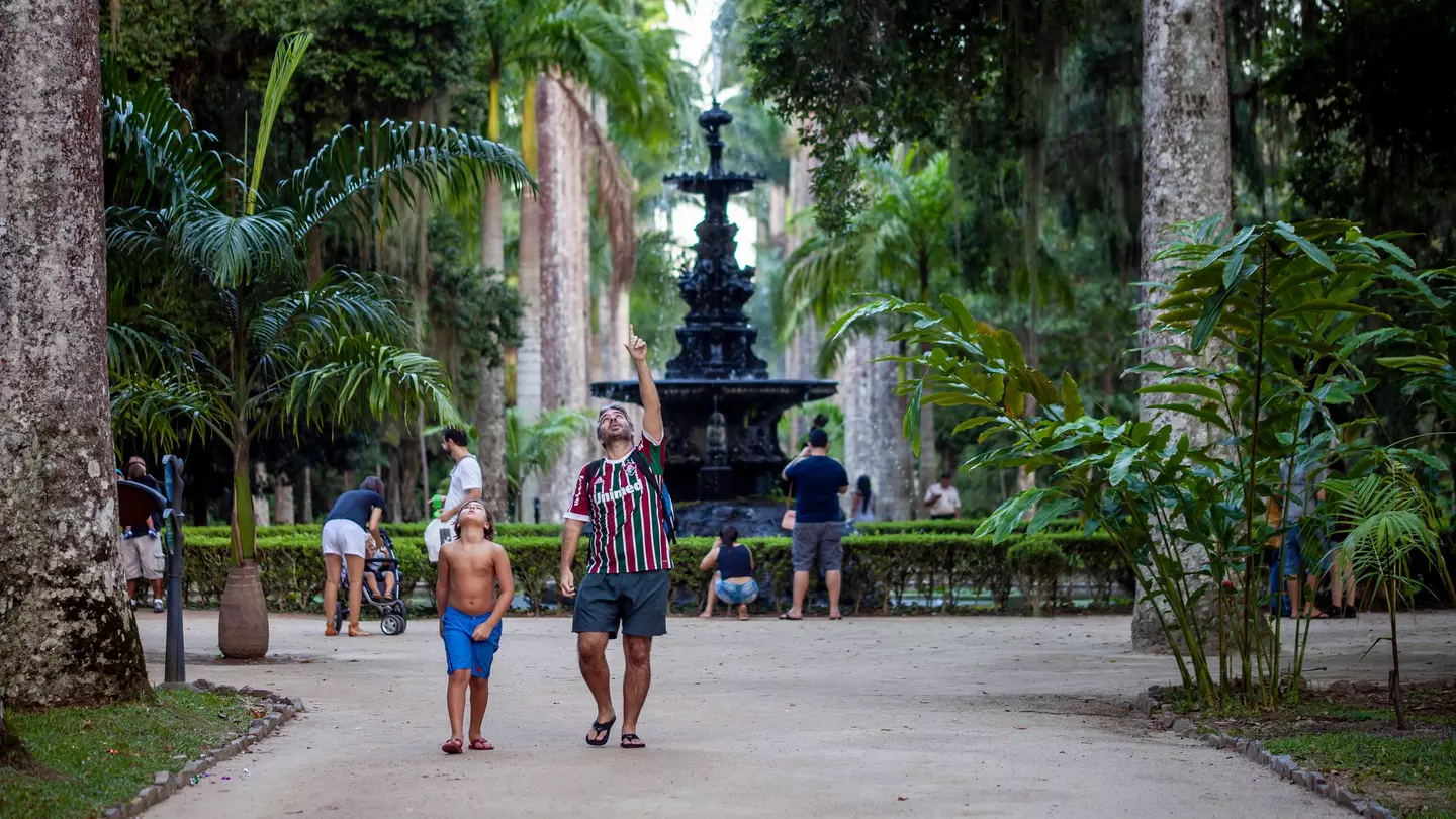 Wander the walkways of Rio's Botanical Gardens © Maarten Zeehandelaar / Shutterstock