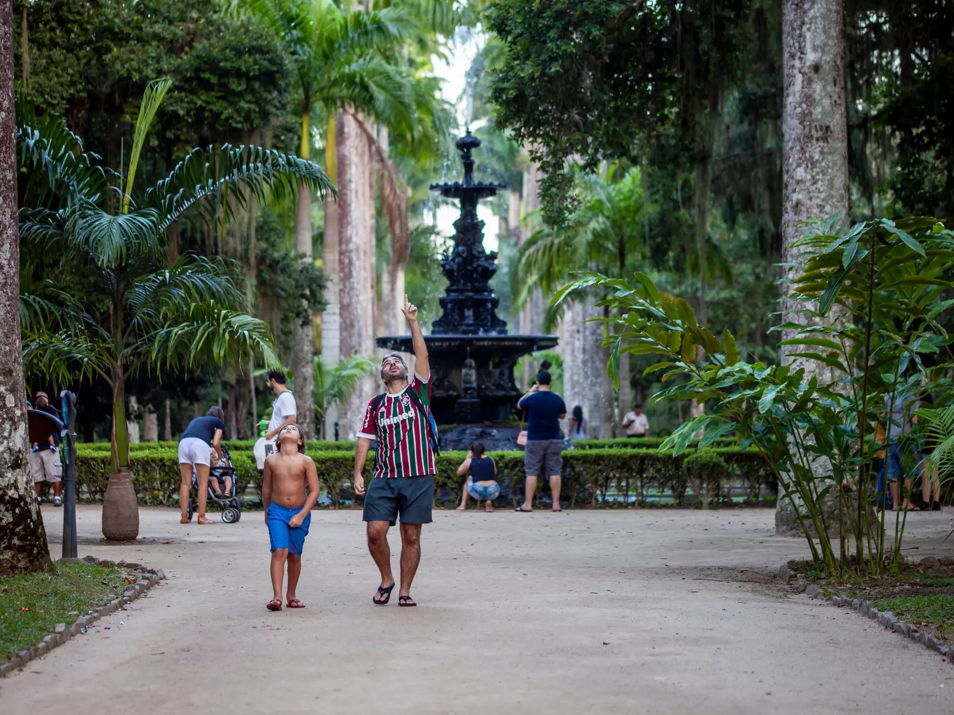 Wander the walkways of Rio's Botanical Gardens © Maarten Zeehandelaar / Shutterstock