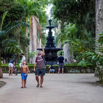 Wander the walkways of Rio's Botanical Gardens © Maarten Zeehandelaar / Shutterstock