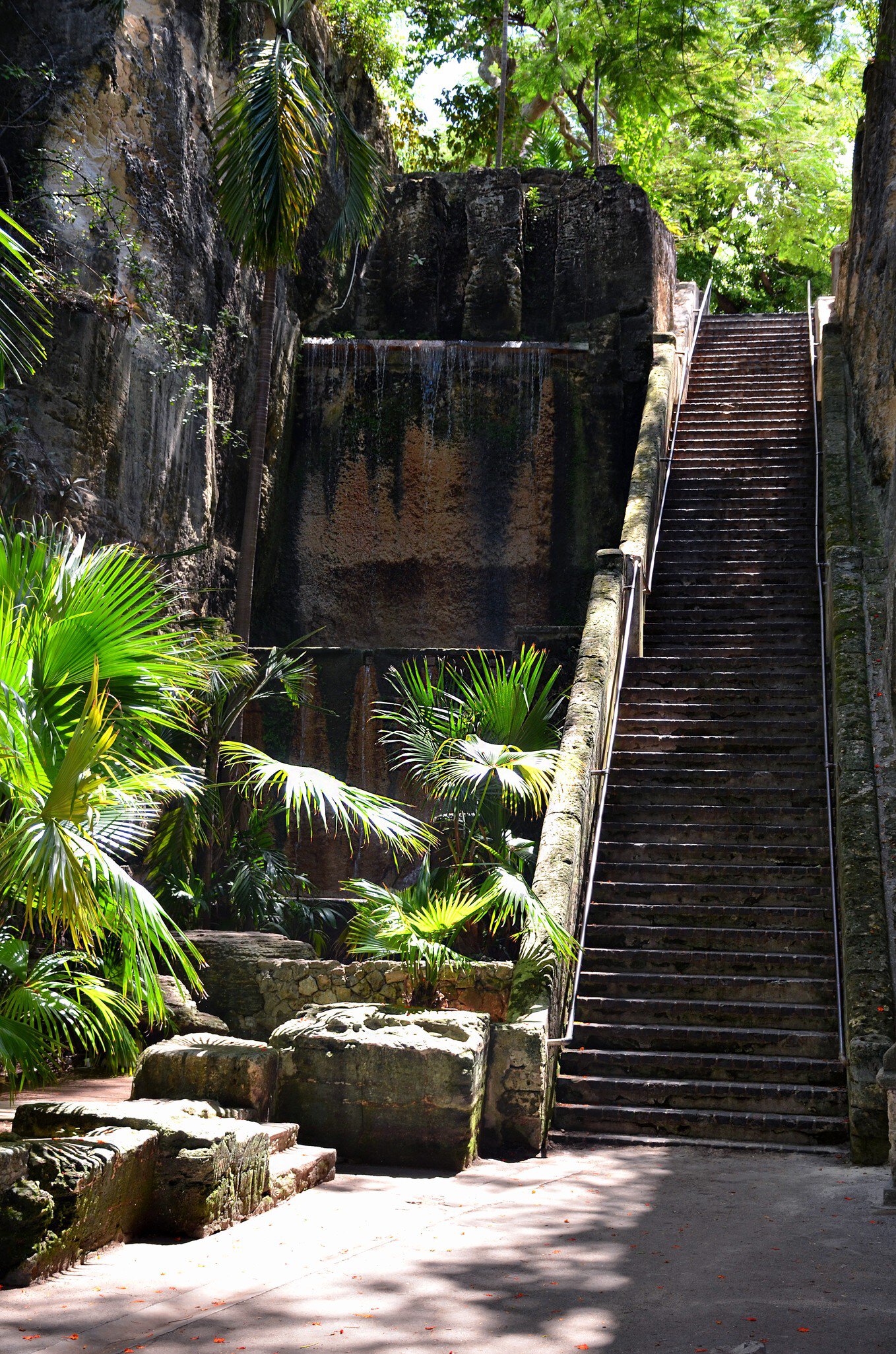 Worn stone steps rising through a narrow limestone ravine hung with ferns