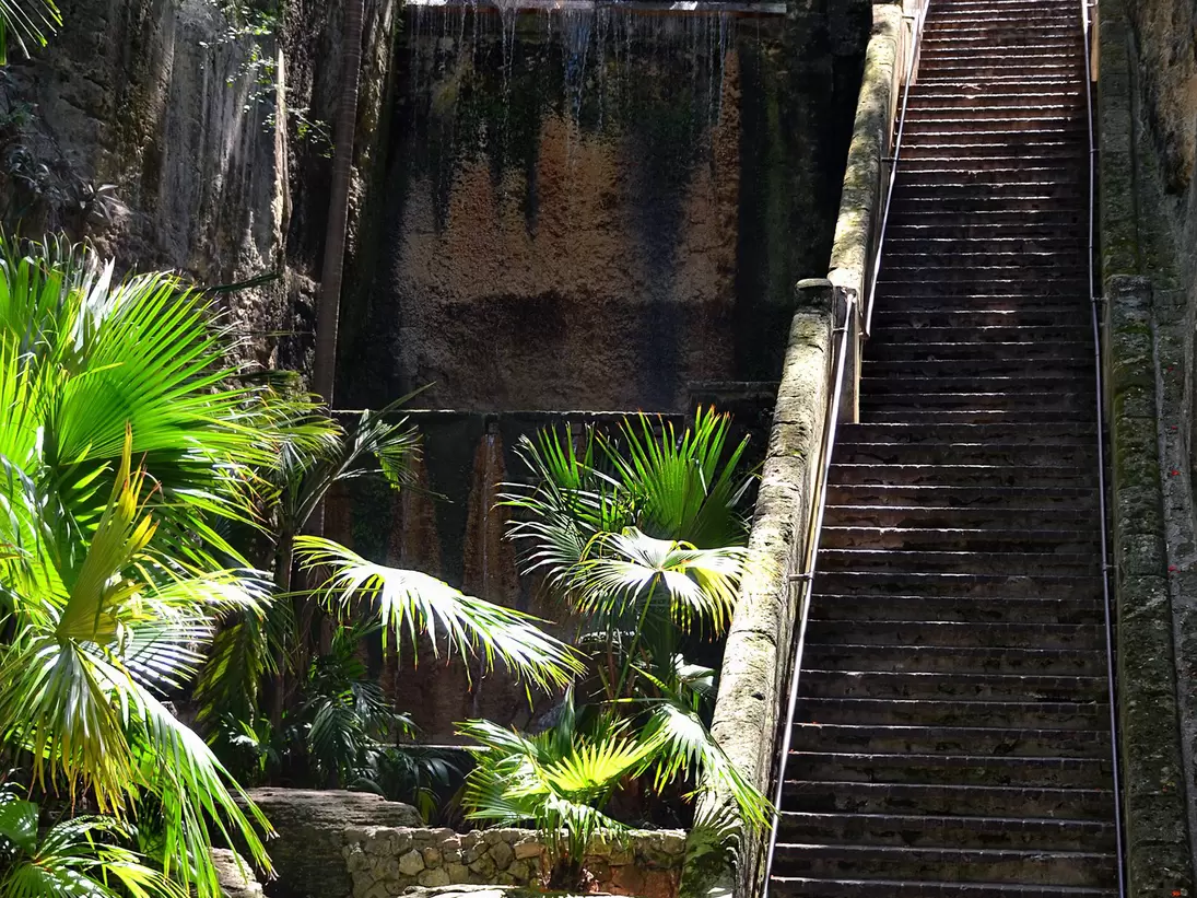Worn stone steps rising through a narrow limestone ravine hung with ferns