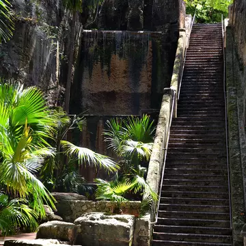 Worn stone steps rising through a narrow limestone ravine hung with ferns