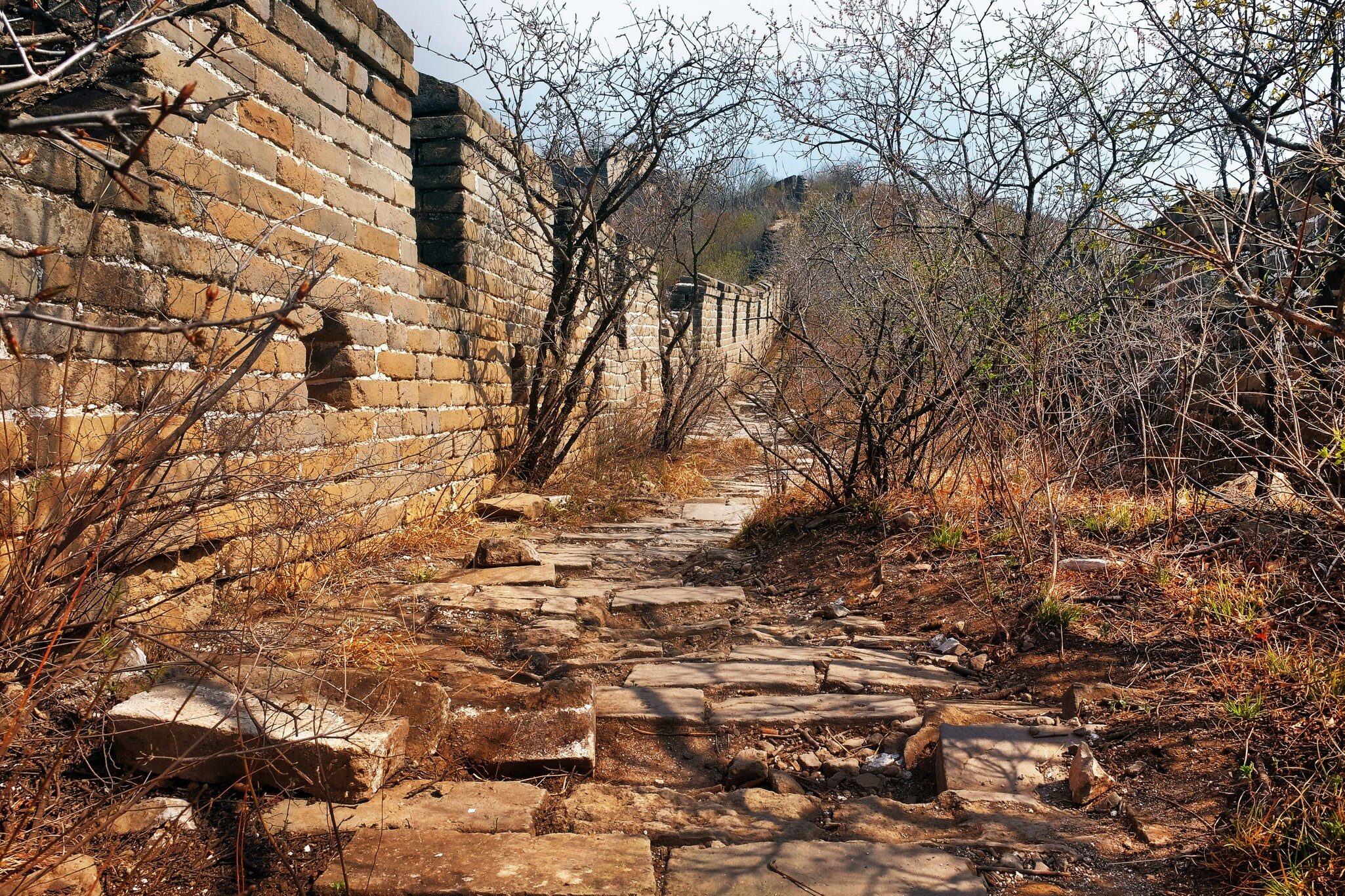 Panoramic view of the Jiankou section of the Great Wall of China, surrounded by green and yellow vegetation under a cold blue morning light.
1440937388
abandoned, blue, briks, brown, china, great, green, history, jiankou, mountains, mutianyu, old, panoramic, sky, spring, tower, trees, vegetation, wall, warm