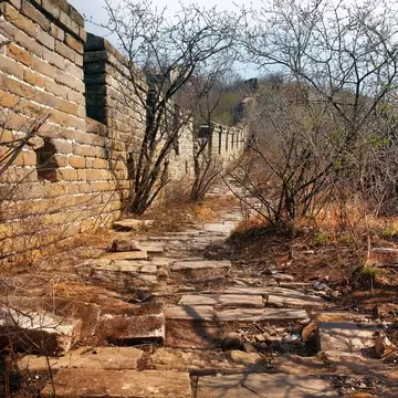 Panoramic view of the Jiankou section of the Great Wall of China, surrounded by green and yellow vegetation under a cold blue morning light.
1440937388
abandoned, blue, briks, brown, china, great, green, history, jiankou, mountains, mutianyu, old, panoramic, sky, spring, tower, trees, vegetation, wall, warm