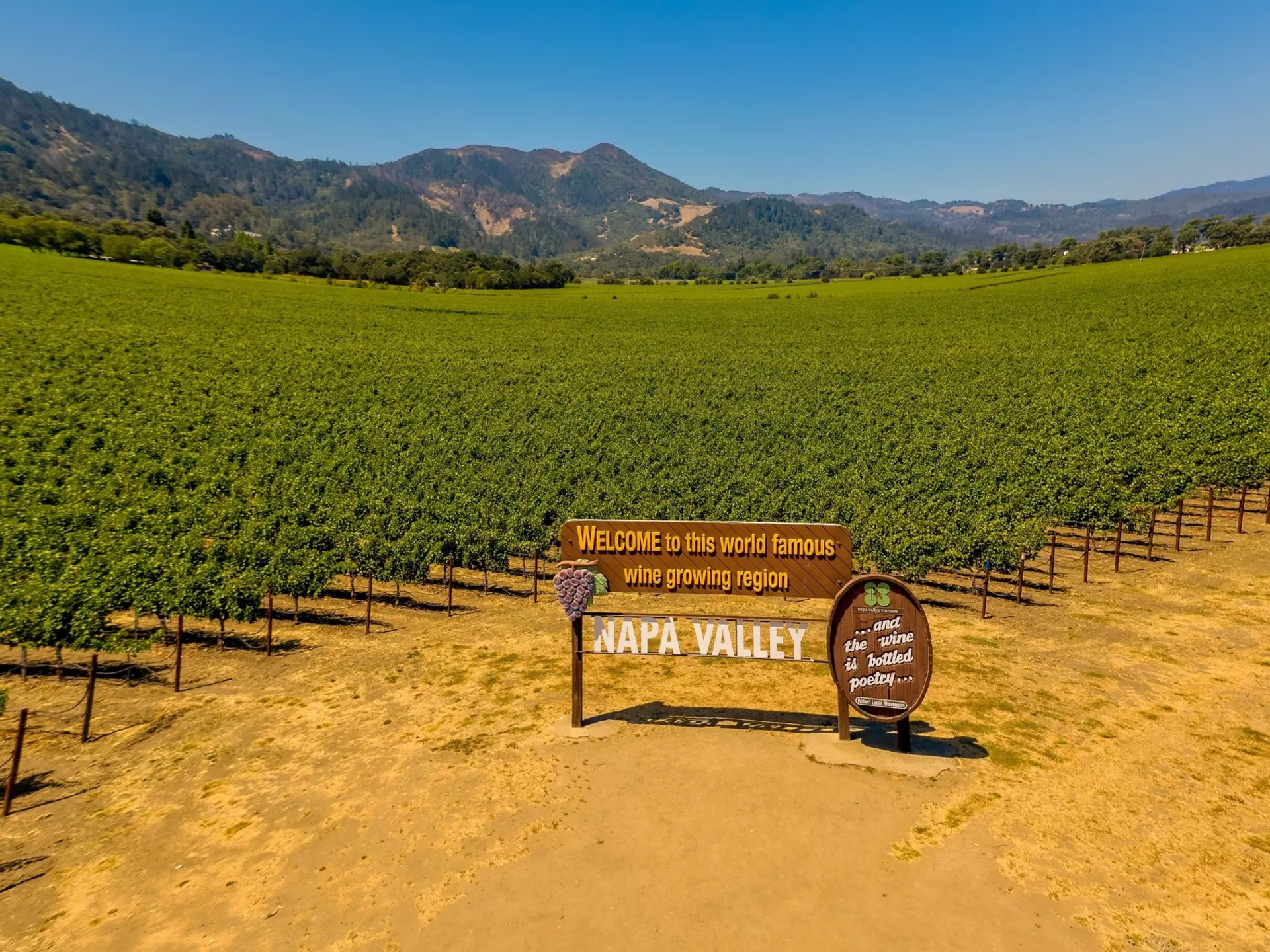Field of grape vines and sign for wine of Napa Valley California, License Type: media, Download Time: 2025-02-08T12:03:12.000Z, User: Ppeterson948, Editorial: false, purchase_order: 56530 - Guidebooks, job: Global Publishing WIP, client: Global Publishing WIP, other: Pia Peterson Haggarty