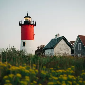 A red and white light house towers over a field of yellow flowers next to two small shingle covered buildings.