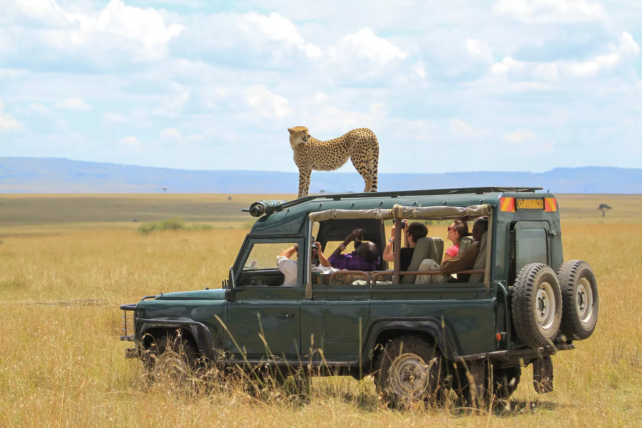 Hire a 4WD to explore national park areas, such as the Masai Mara © Pedro Helder Pinheiro / Shutterstock