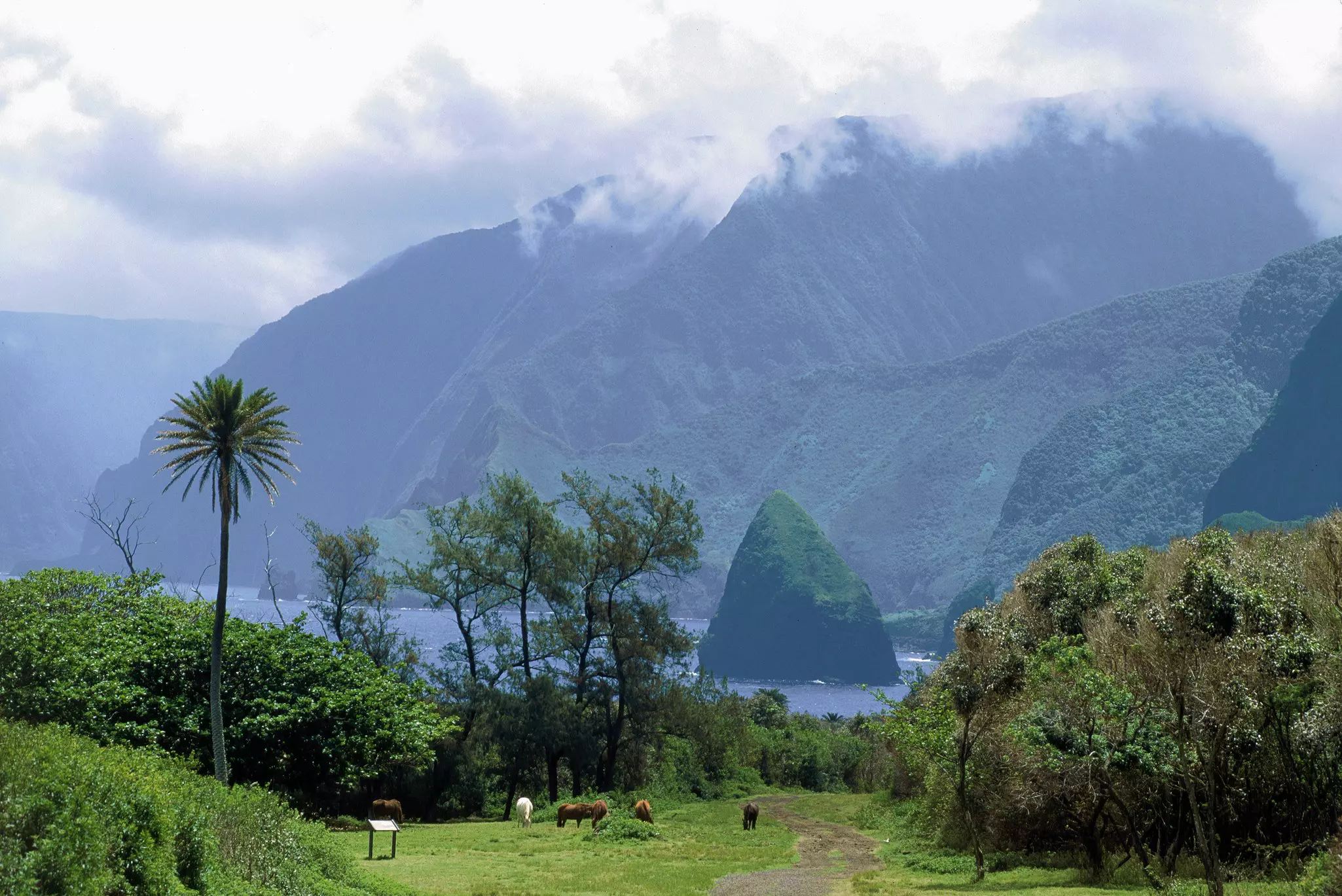 Clouds and mist shroud the Kalaupapa Cliffs, Pala‘au State Park, Hawaii