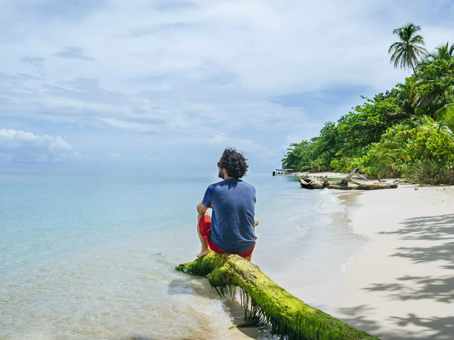 Man sitting on a tree trunk at the beach on Cayo Zapatilla.