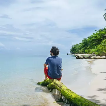 Man sitting on a tree trunk at the beach on Cayo Zapatilla.