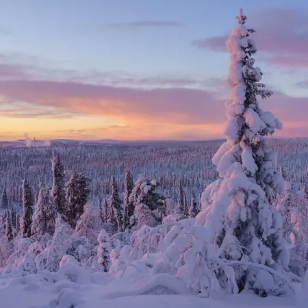 Winter landscape in sunset with plenty of snow and nice color in the sky