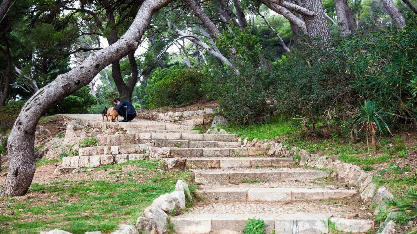 Man with his dogs on a wooded path in Gradac Park, Dubrovnik