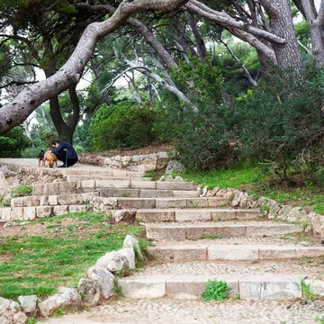 Man with his dogs on a wooded path in Gradac Park, Dubrovnik