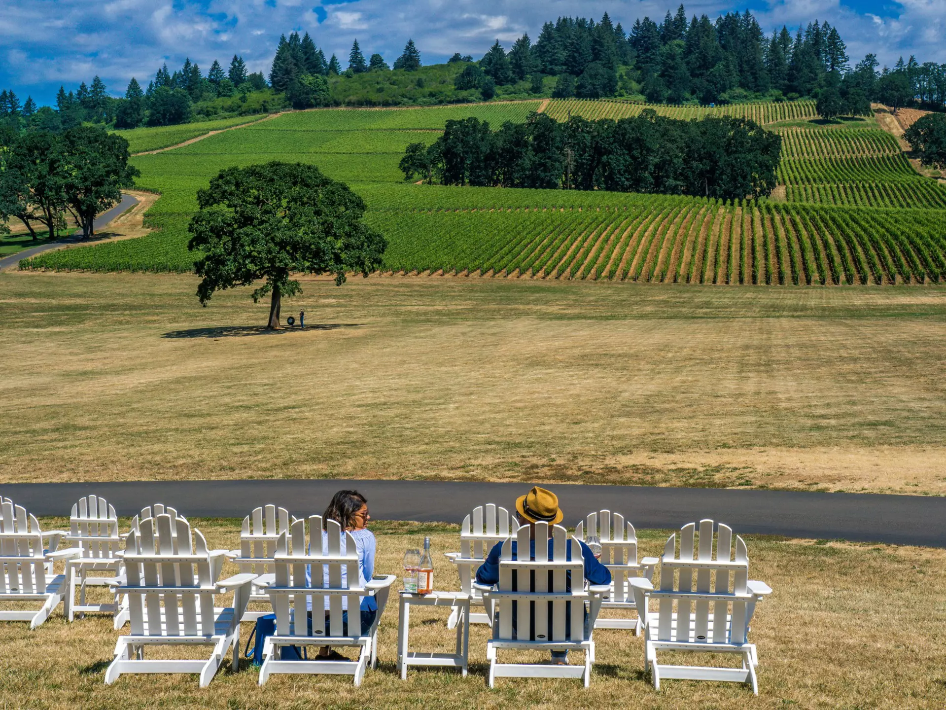 A vineyard in Dayton, Oregon, in the Willamette Valley. Pernelle Voyage/Shutterstock