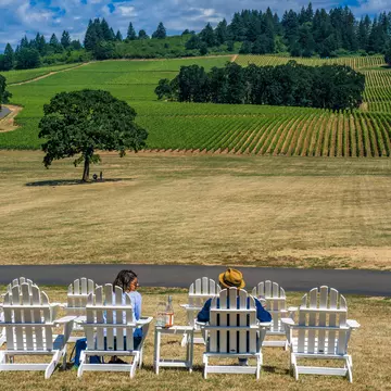 A vineyard in Dayton, Oregon, in the Willamette Valley. Pernelle Voyage/Shutterstock