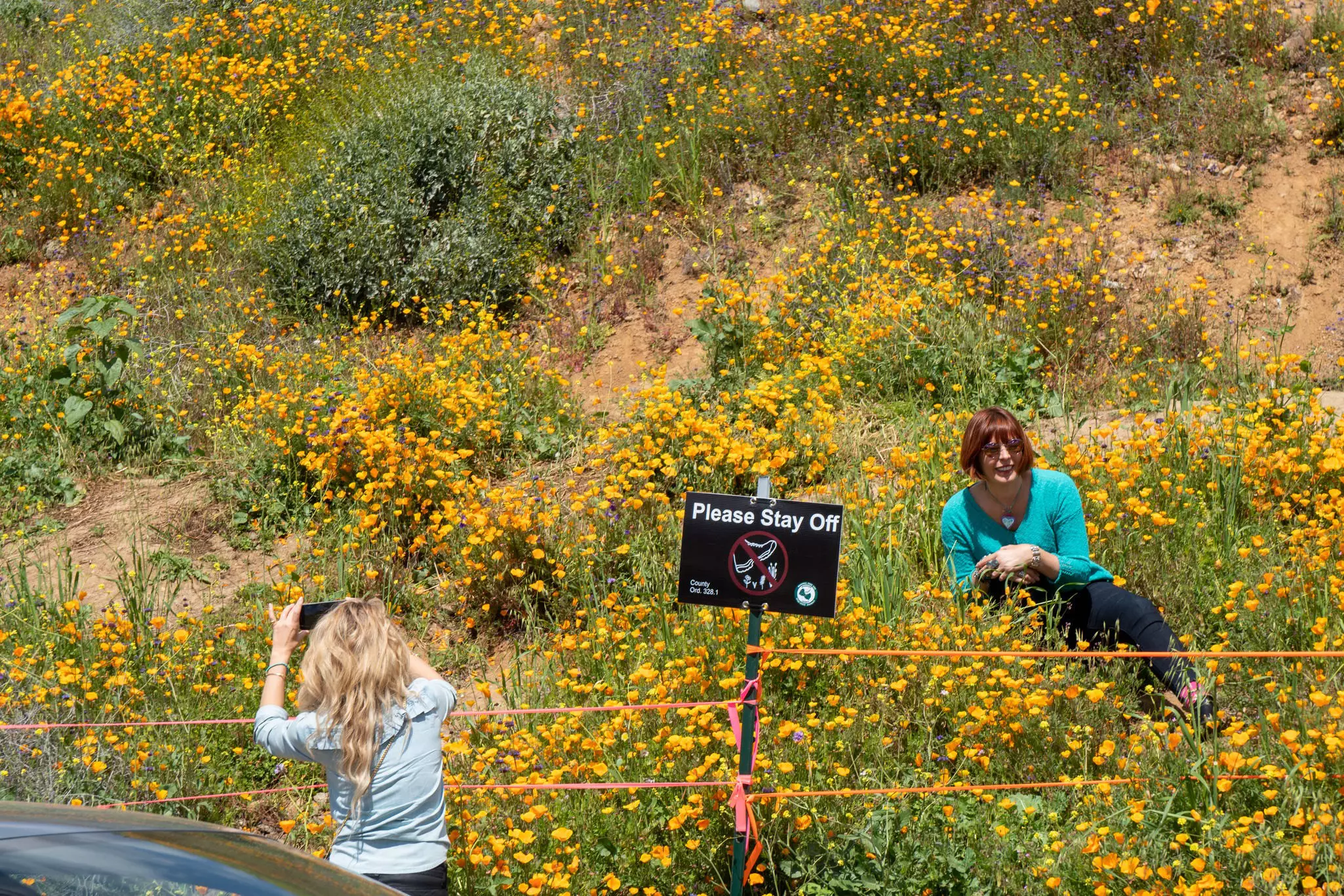 What not to do: tourists disrespecting signs and posing by a “Please Stay Off” sign with the poppies at Walker Canyon during 2019’s super bloom © melissamn / Shutterstock