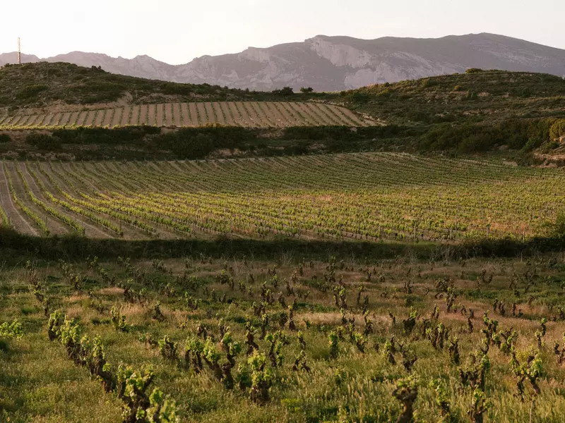 Crop Spain marketing Agrotourism - La Rioja