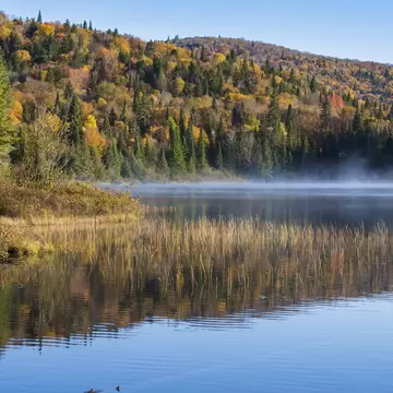 View of trees by a lake in Mont-Tremblant National Park, Canada.