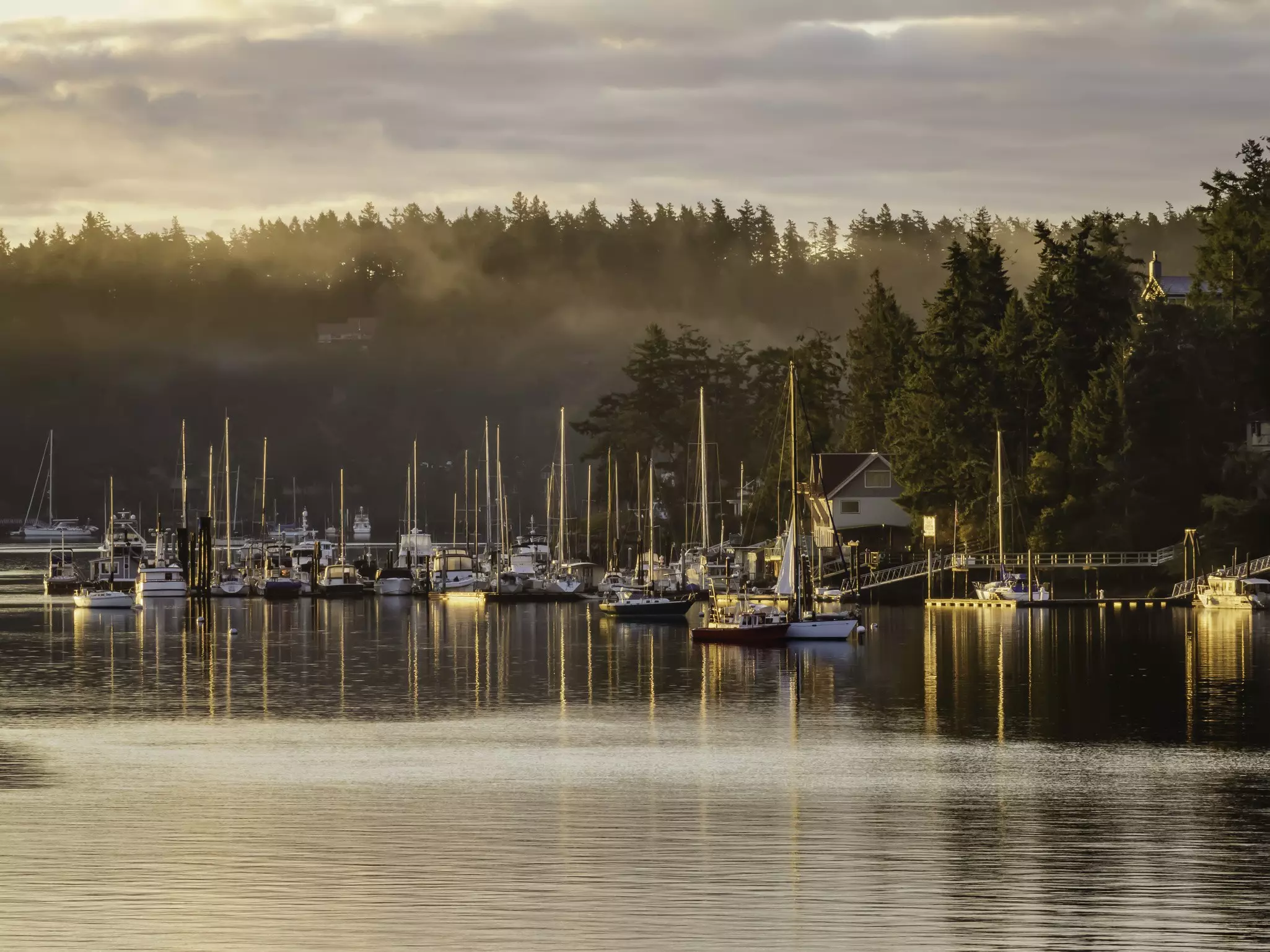 Sailboats in a foggy marina during sunrise.