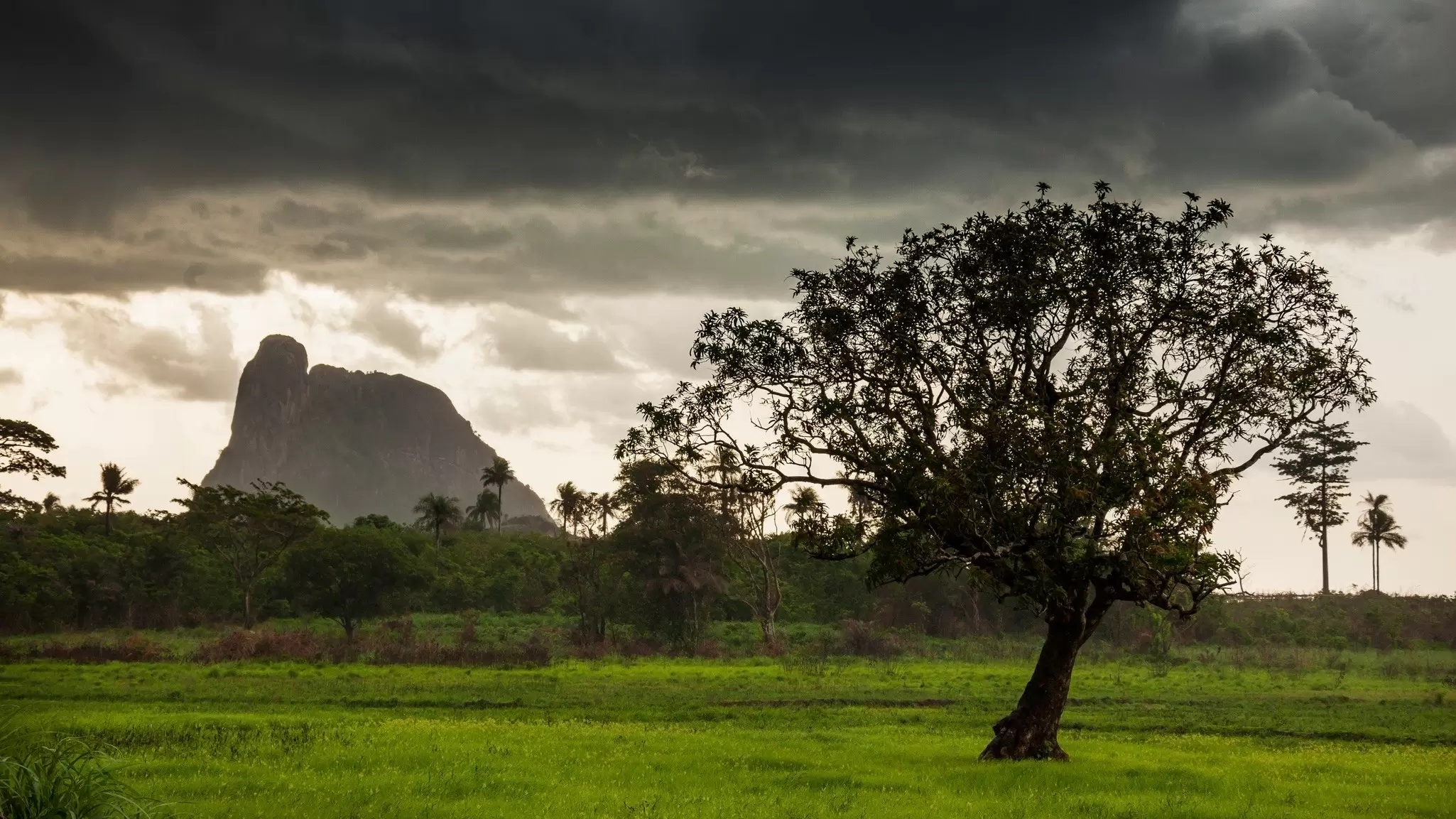 A road near Makali in the rainy season, Sierra Leone. robertonencini/Shutterstock