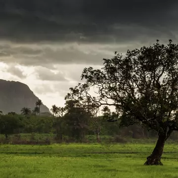 A road near Makali in the rainy season, Sierra Leone. robertonencini/Shutterstock