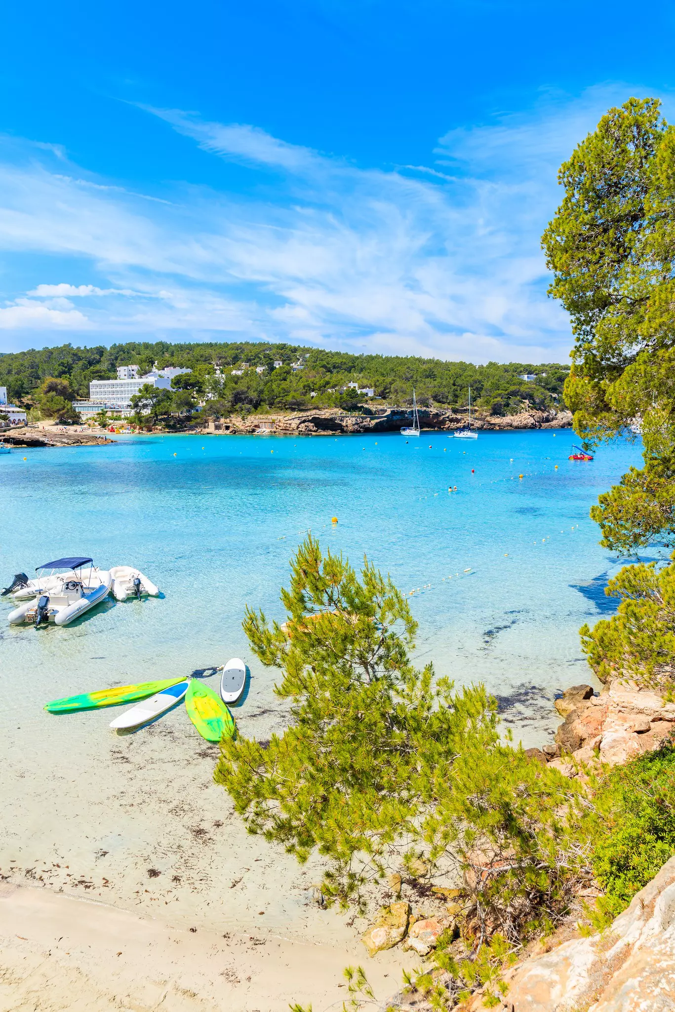 Green pine tree on cliff rock overlooking beautiful Cala Portinatx beach with surfboards and dinghy boats on azure sea water, Ibiza island, Spain.