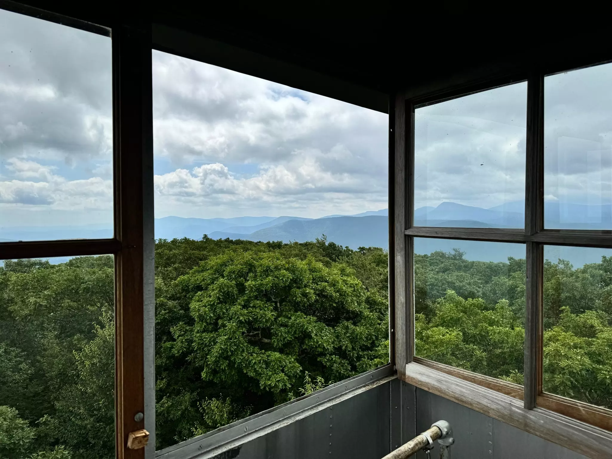 Green treetops through an open window, with the silhouette of mountains on the horizon.