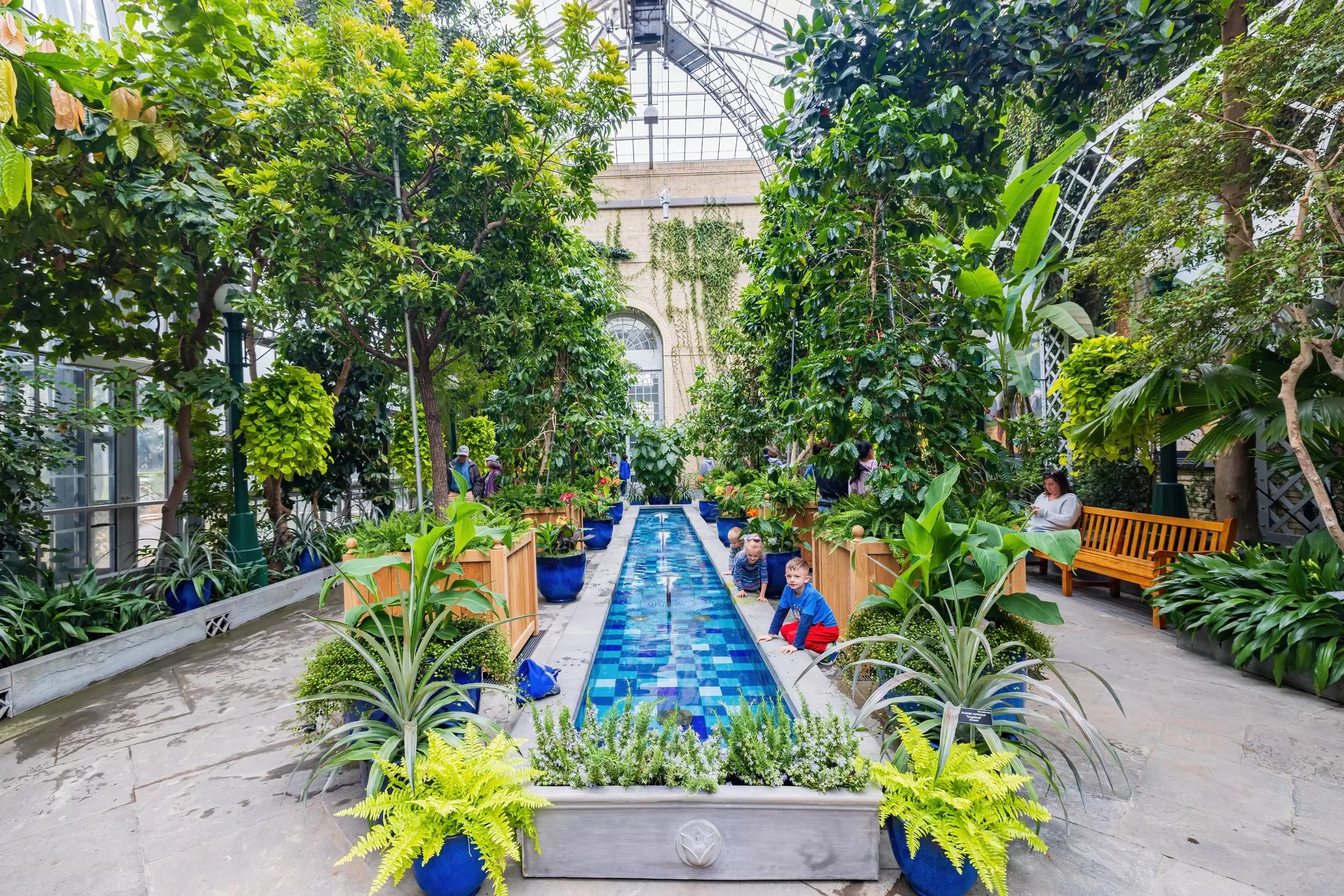 Children playing inside the United States Botanic Garden.