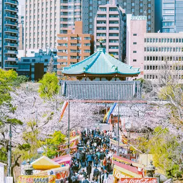 A Japanese temple surrounded by blooming cherry trees and skyscrapers.