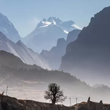 Bare tree on a rocky ridge in front of misty valleys and snow-capped Himalayan peaks near Manang, Nepal.