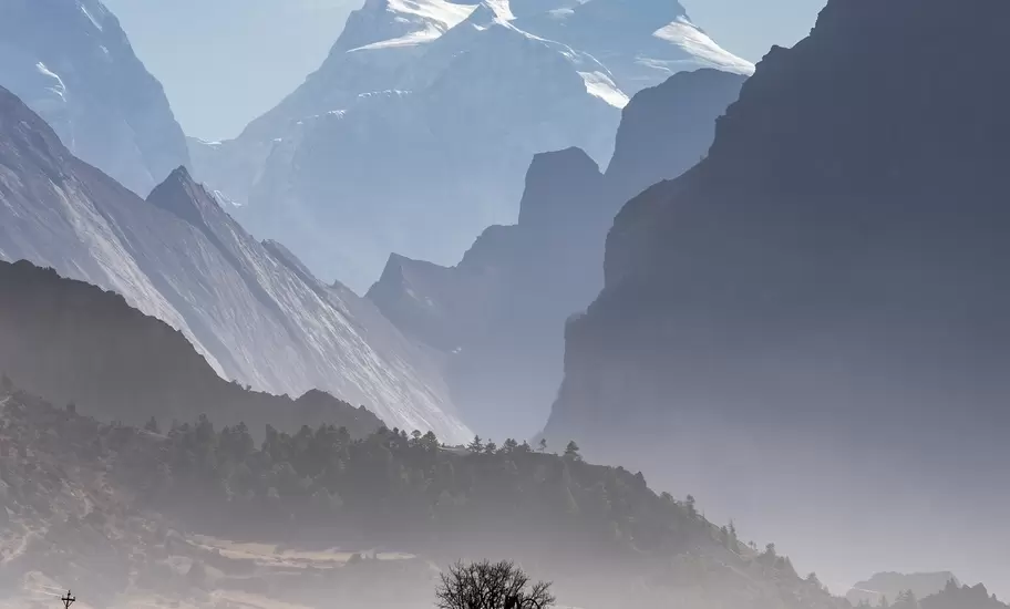 Bare tree on a rocky ridge in front of misty valleys and snow-capped Himalayan peaks near Manang, Nepal.