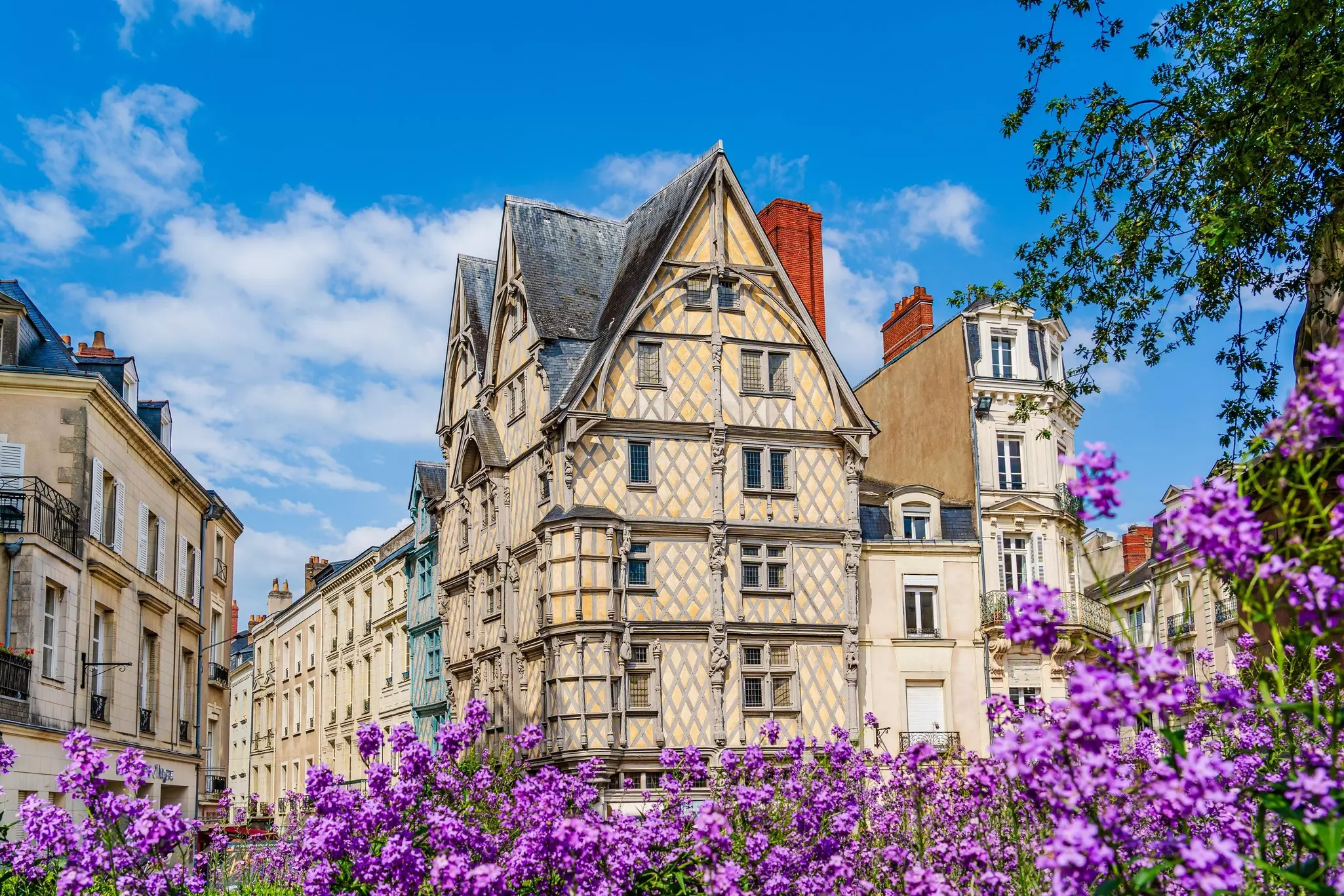 Typical French timbered house overlooking a square where hyacinths are in bloom