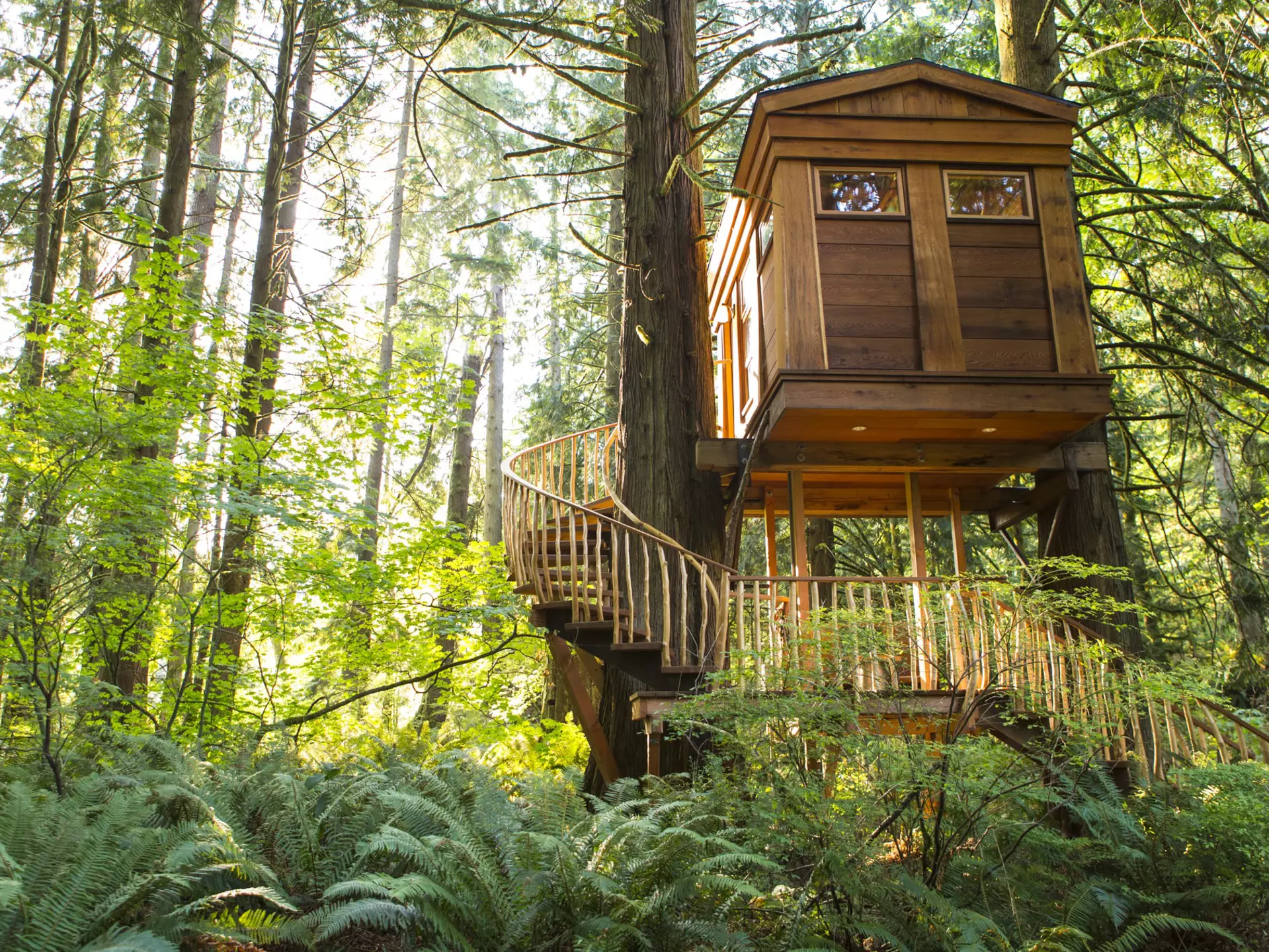 166345742
architecture, calm, color image, copy space, curving, day, forest, horizontal, low angle view, nature, nobody, outdoors, peace, photography, preston, remote, serenity, stair, staircase, step, sunny, tranquil scene, tranquility, travel, tree house, treehouse point, united states, washington, winding, woods