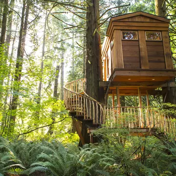 166345742
architecture, calm, color image, copy space, curving, day, forest, horizontal, low angle view, nature, nobody, outdoors, peace, photography, preston, remote, serenity, stair, staircase, step, sunny, tranquil scene, tranquility, travel, tree house, treehouse point, united states, washington, winding, woods