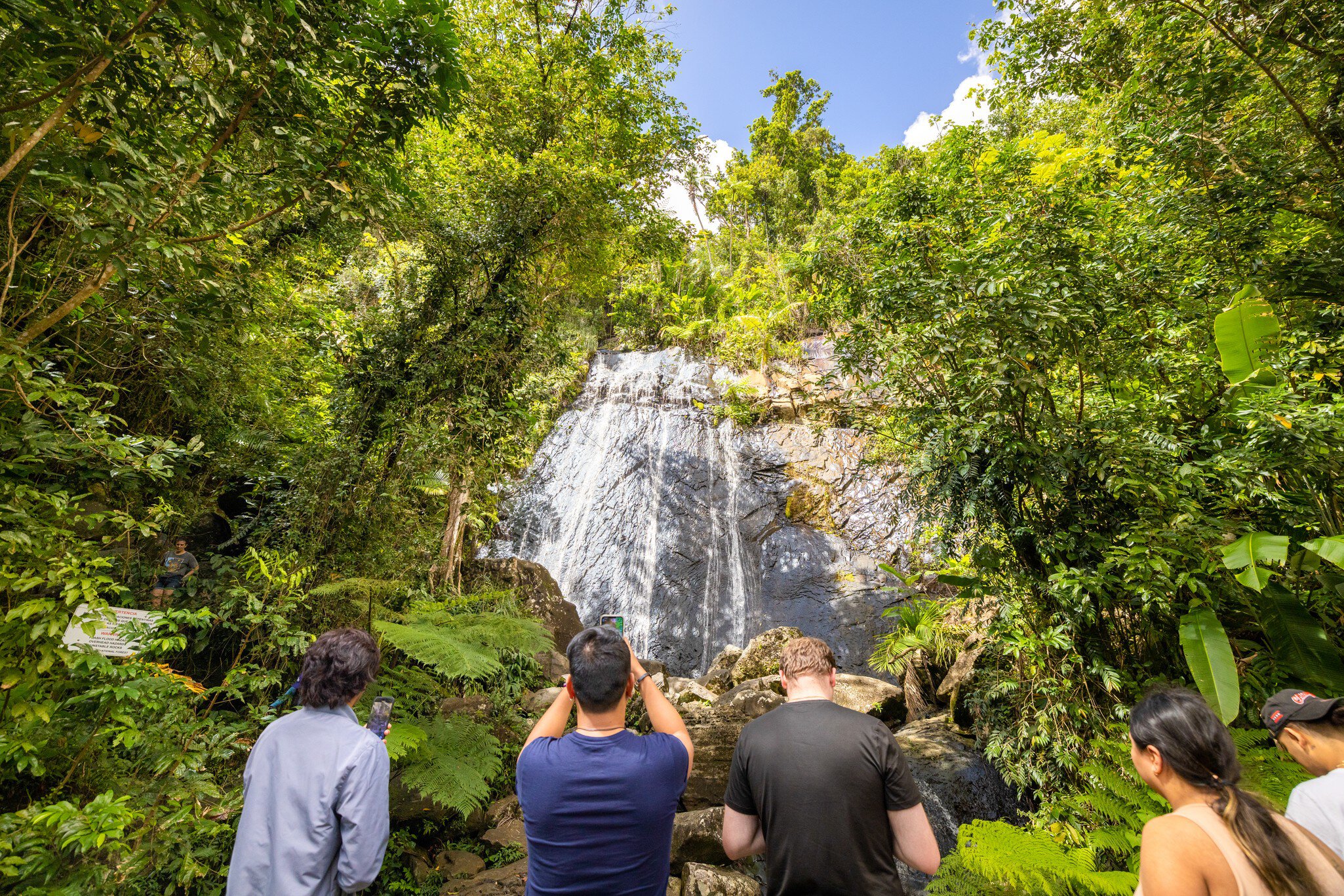 A waterfall in El Yunque National Forest, Puerto Rico