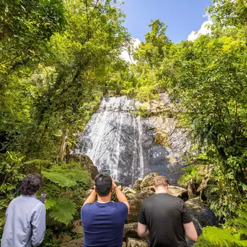 A waterfall in El Yunque National Forest, Puerto Rico