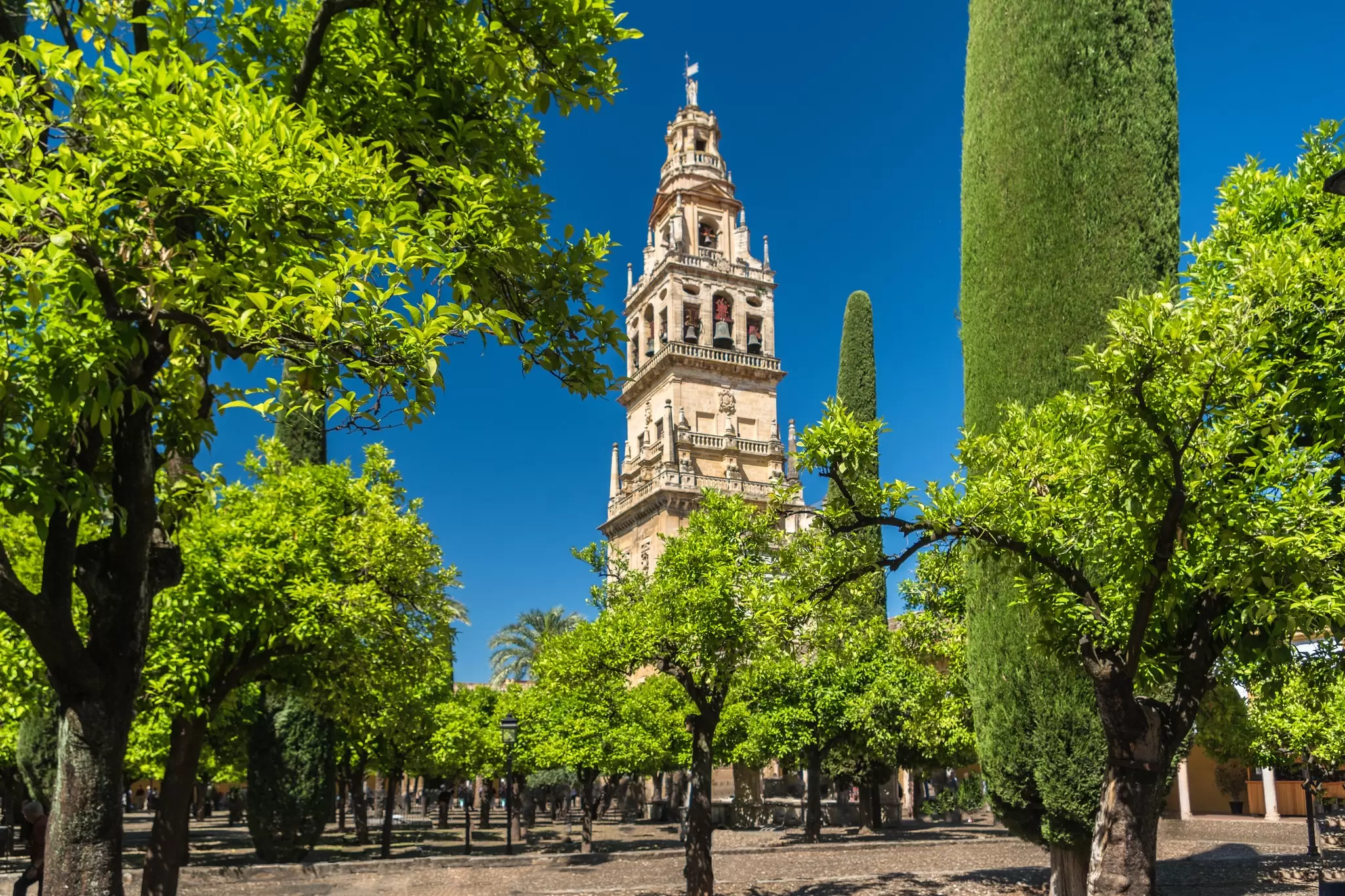 View of the bell tower of the Mezquita from the Patio de los Naranjos in Córdoba, Spain.