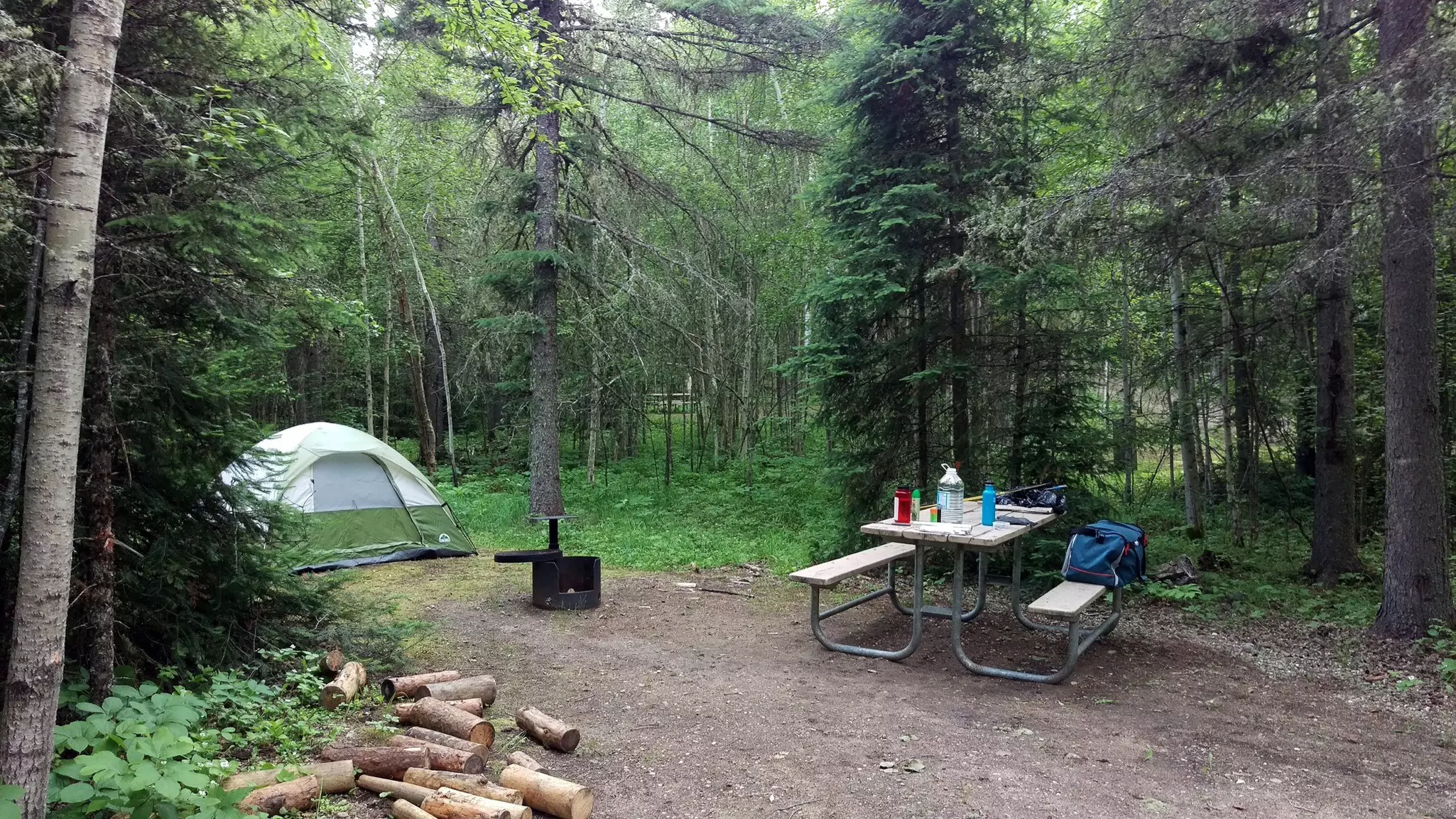 A tent in a woodland campground with a picnic table and firewood.