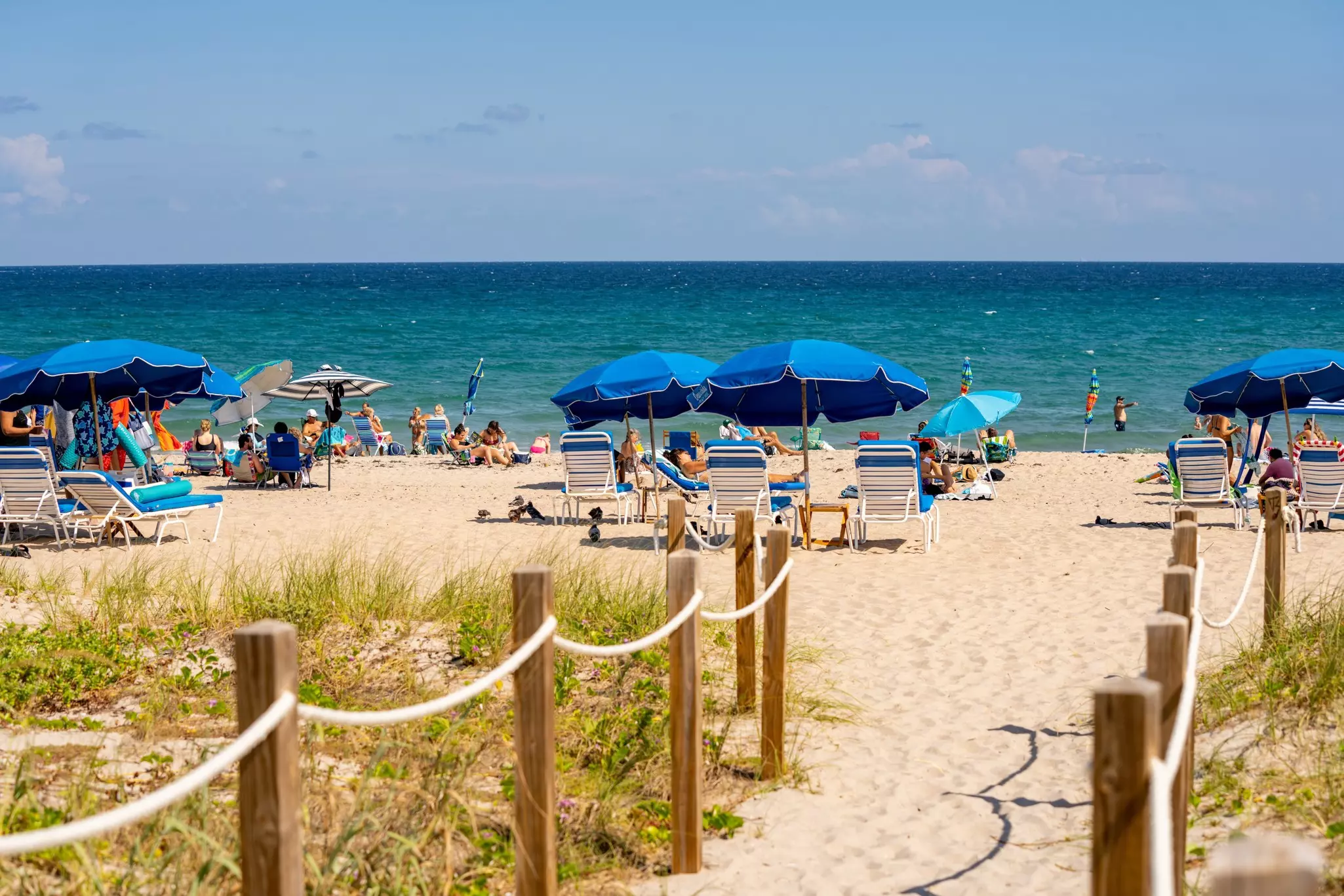 Blue umbrellas on the beach in Delray Beach, FL.