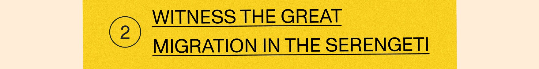 Witness the Great Migration in the Serengeti