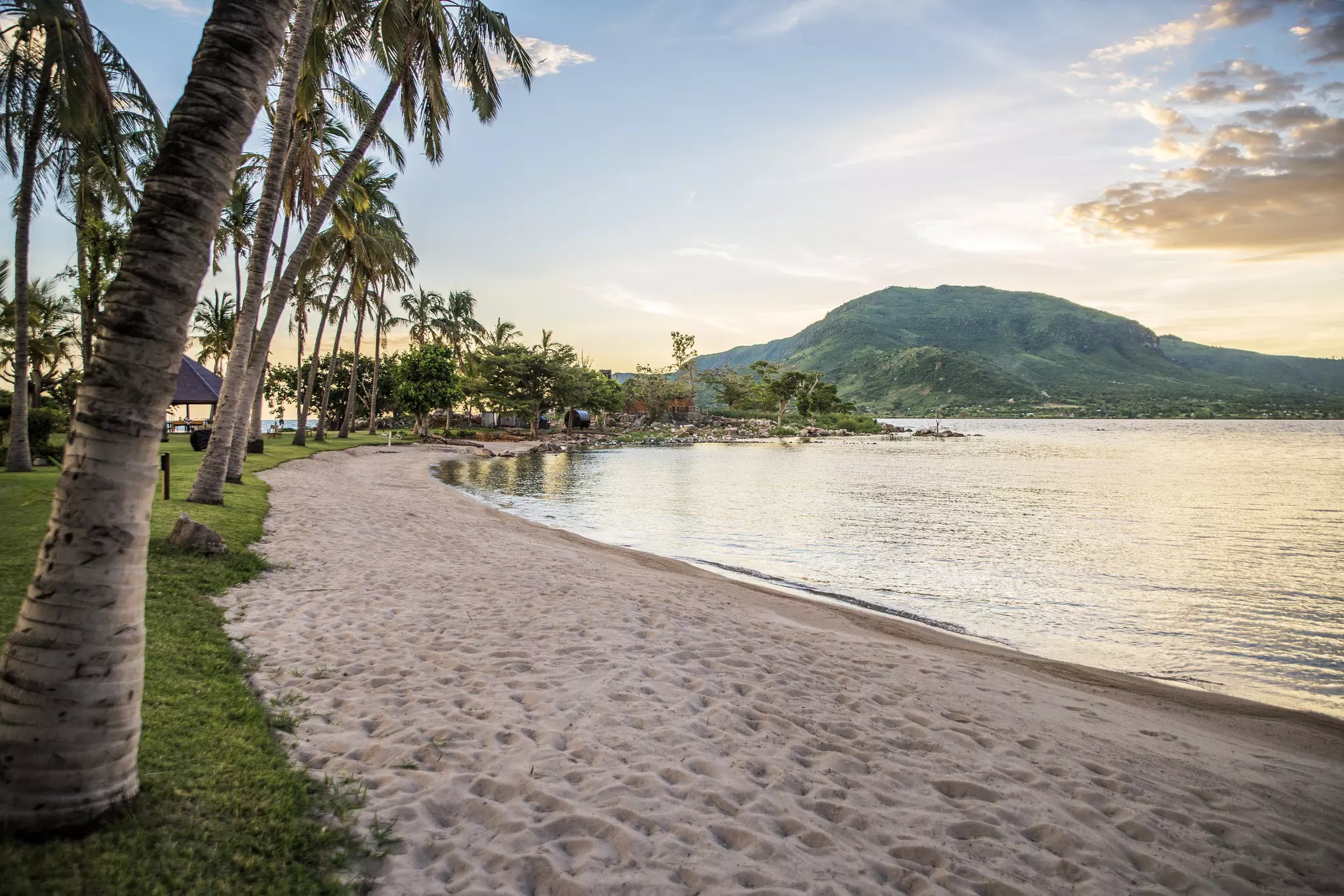 Takawiri. Jen Watson/Shutterstock