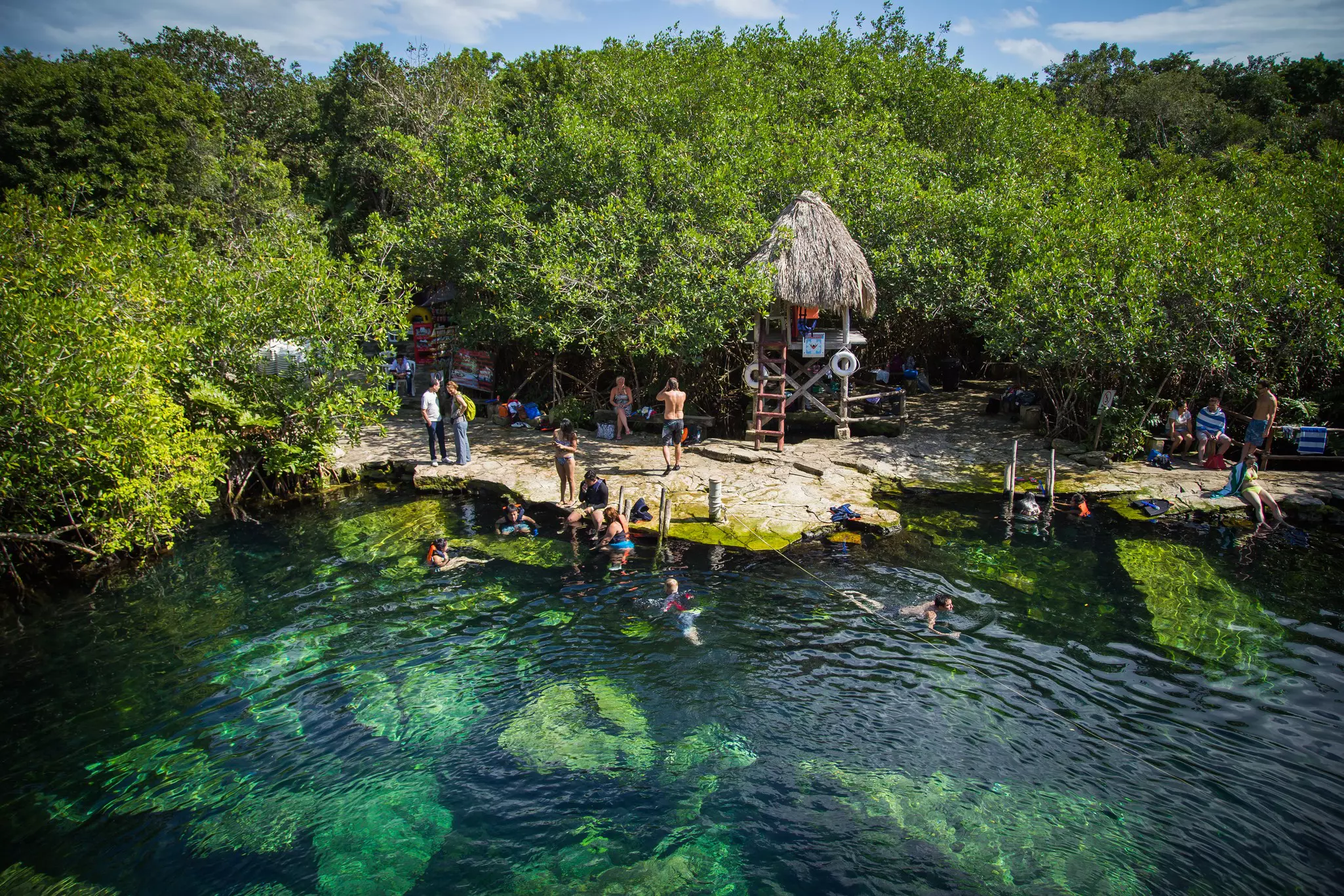 People bathe in the cenote. Cenote - natural lagoon with transparent turquoise water surrounded by rocks and tropical vegetation. Wild jungle.