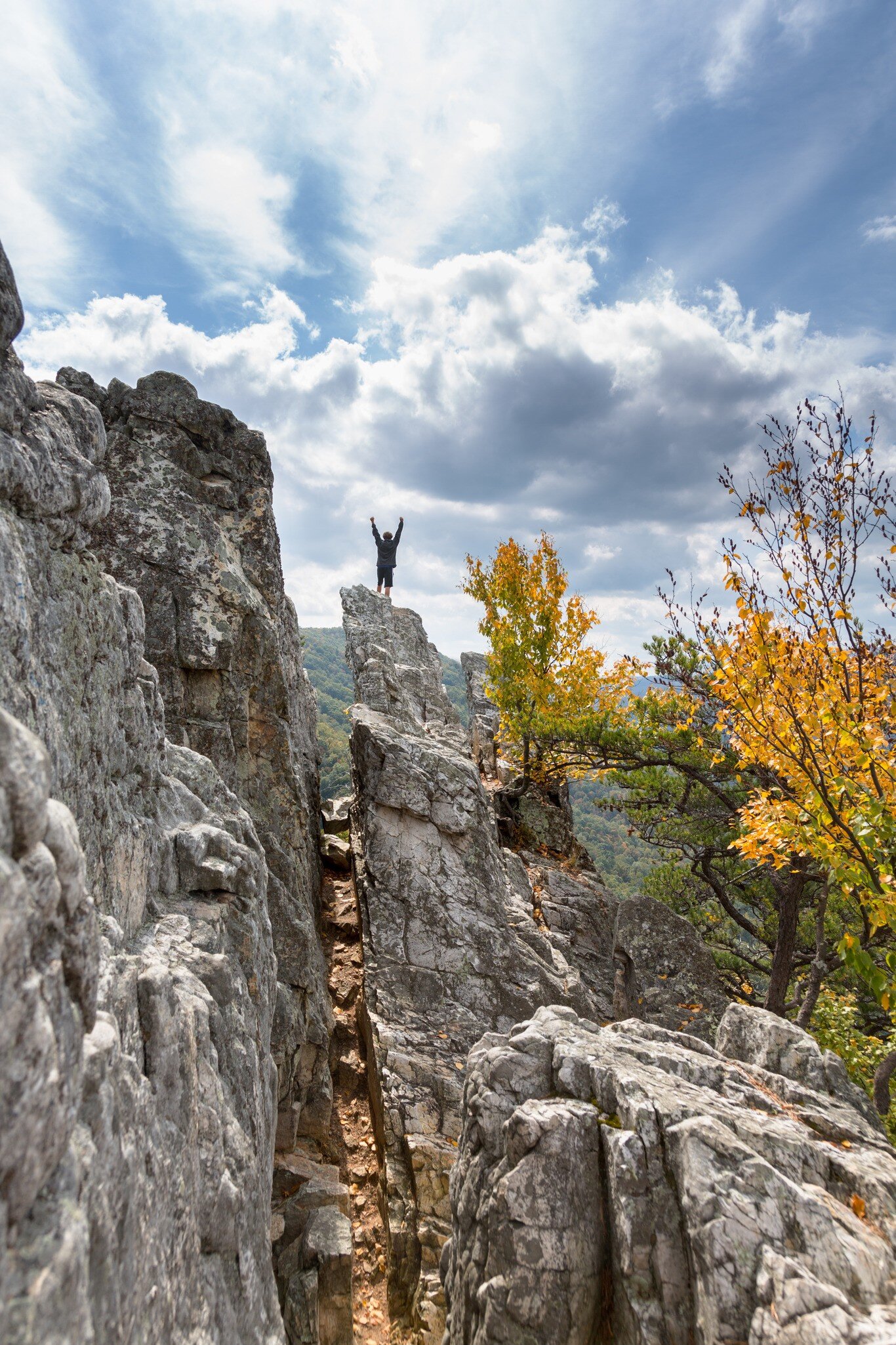 Climber standing on top of Seneca Rocks with his hands in the air.