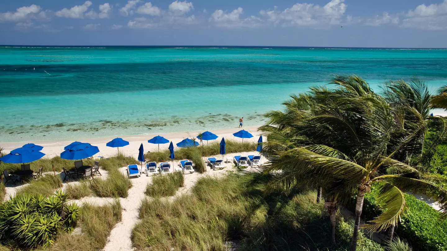 A sandy beach with loungers and sun shades backed by palm trees and grass-covered sand dunes.