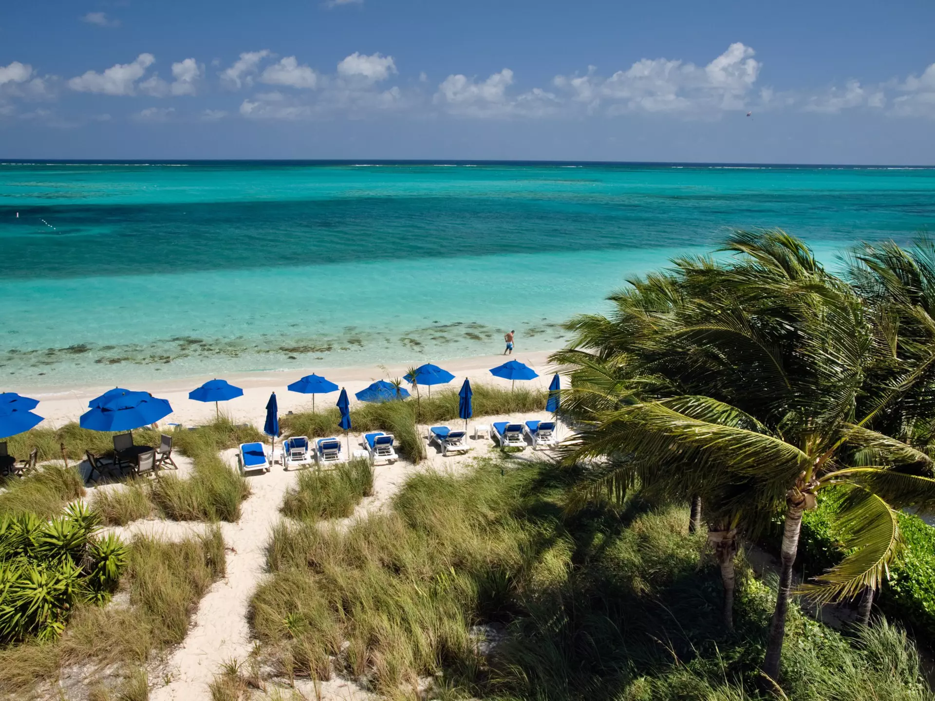 A sandy beach with loungers and sun shades backed by palm trees and grass-covered sand dunes.