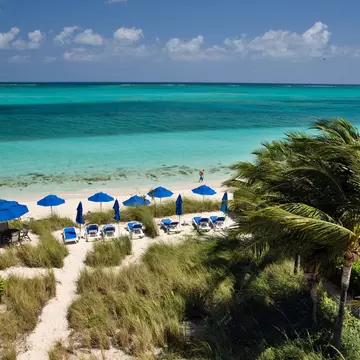 A sandy beach with loungers and sun shades backed by palm trees and grass-covered sand dunes.