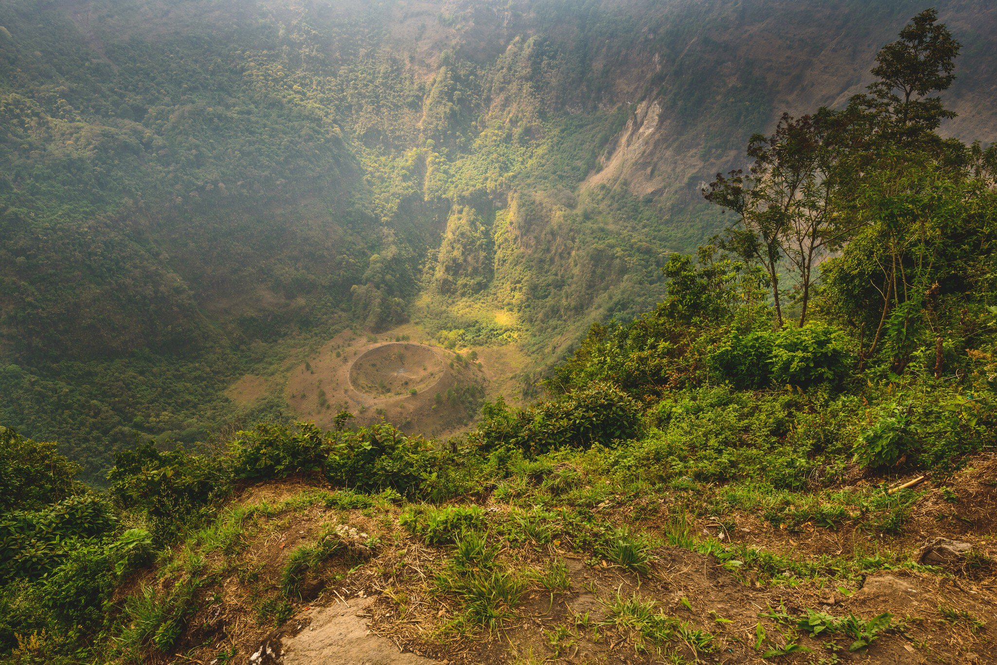 Steep forested crater walls dropping to a bare floor with a small round cone, shrubs on the rim in front