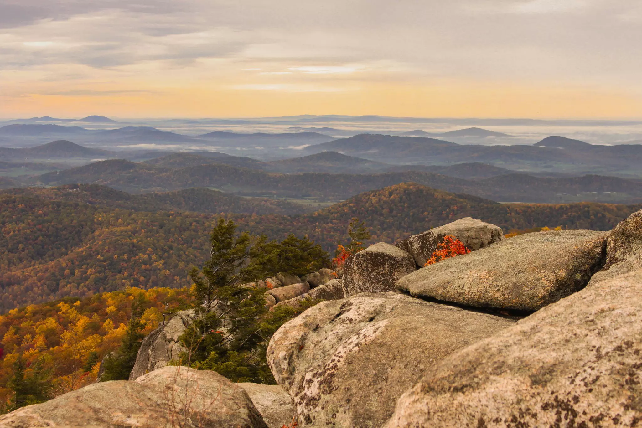 View from rocky summit overlooking forested hills in autumn with yellow and green treetops below and rolling hills in the distance throughout the image.